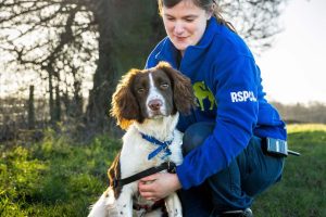 Animal Education and Rescue Bonding
