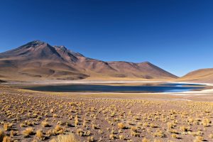 Atacama's Wonders A Comprehensive Guide for First Timers