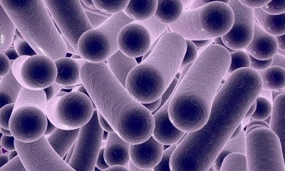 C. diff infection