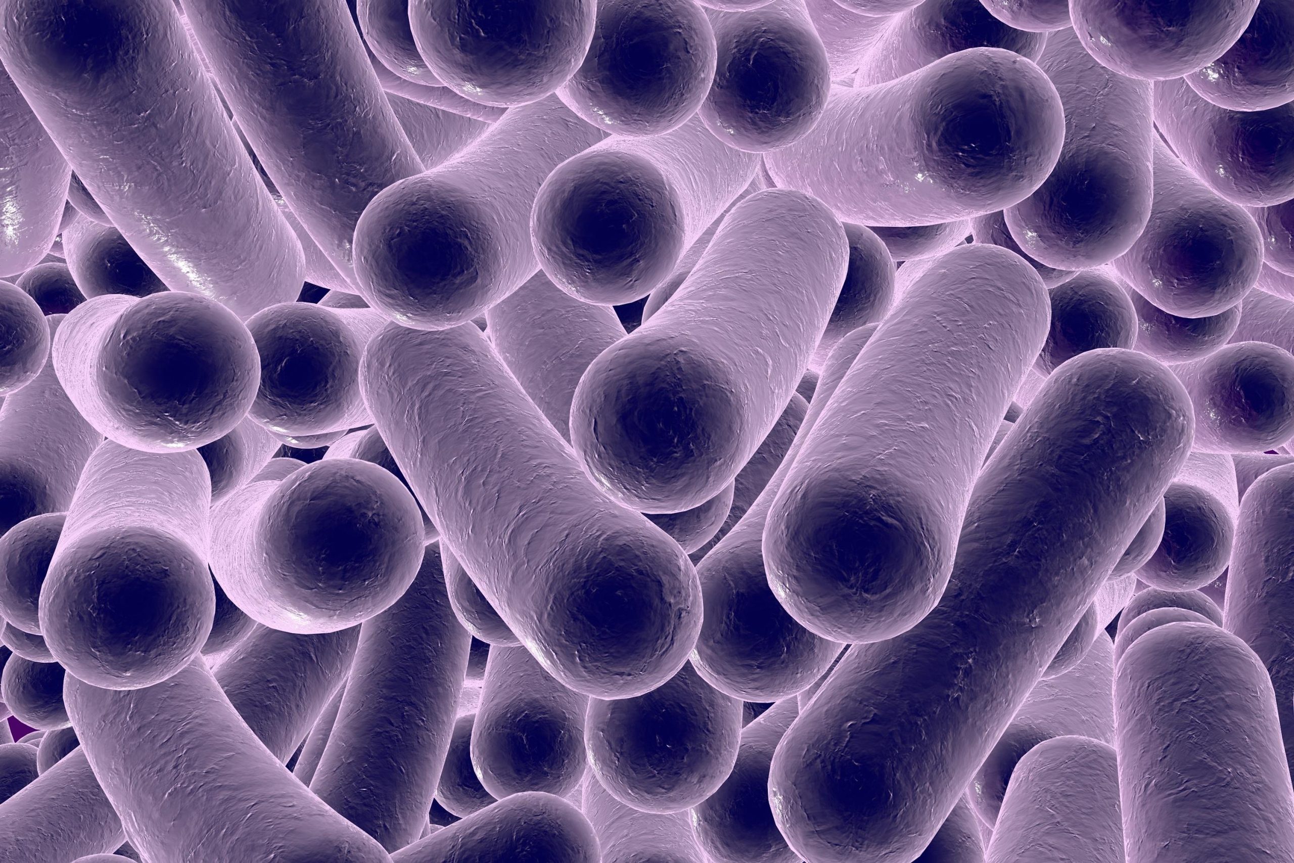 C. diff infection