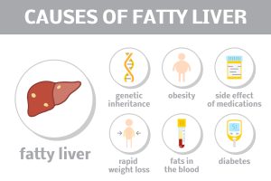 Risks of Fatty Liver