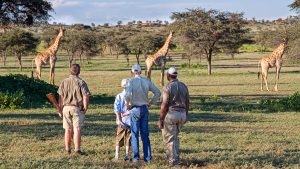 Central Safari Discovering Nature's Marvels in Cape Town