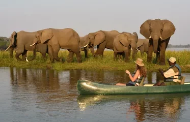 Central Safari Discovering Nature's Marvels in Cape Town