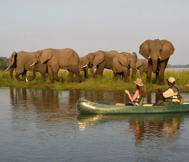 Central Safari Discovering Nature's Marvels in Cape Town