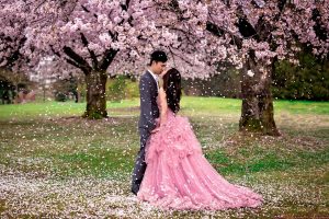 Cherry Blossom Dreams Japanese Honeymoon Romance