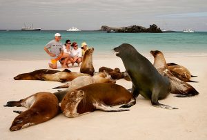 Galapagos Islands that captivate life exploring advanced travel