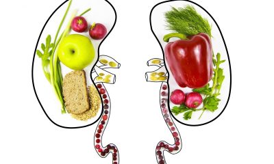 Healthy Eating for Kidneys