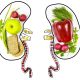 Healthy Eating for Kidneys