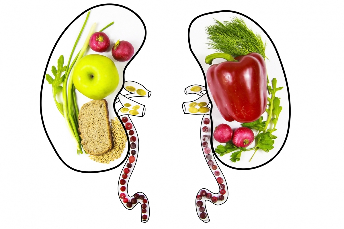 Healthy Eating for Kidneys