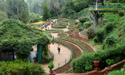 Kirstenbosch-Botanical-Oasis-Secrets-of-Natures-Splendor