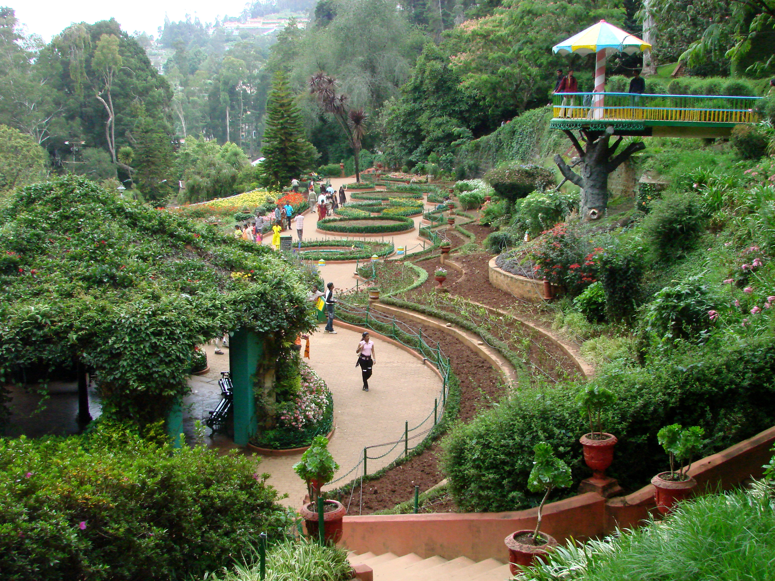 Kirstenbosch-Botanical-Oasis-Secrets-of-Natures-Splendor