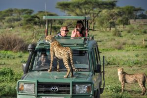 Mastering Unveiling the Magic of Family Bonding in Rwanda's Wilderness