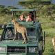 Mastering Unveiling the Magic of Family Bonding in Rwanda's Wilderness