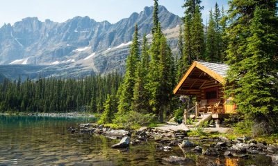 Navigating Banff's Trails Like a Pro