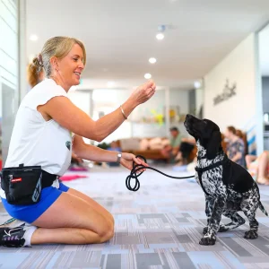 Animal Education and Rescue Bonding