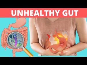 Unhealthy Gut