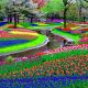 The Beauty of Keukenhof a Floral Paradise for Families