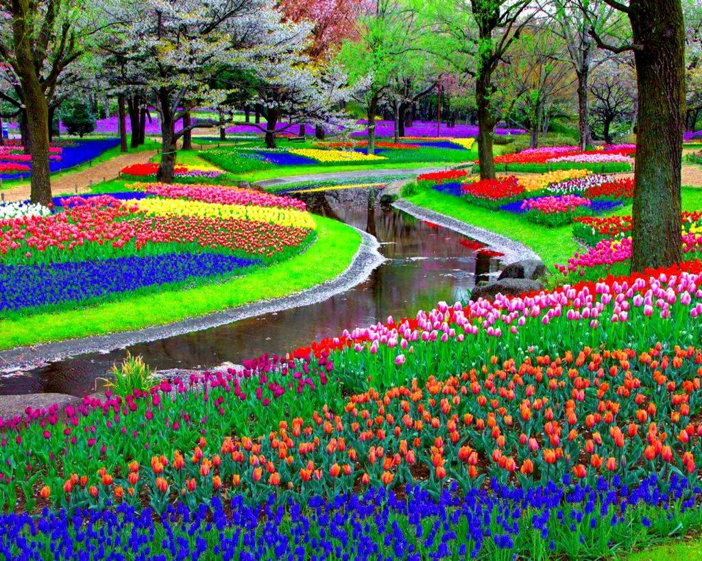 The Beauty of Keukenhof a Floral Paradise for Families