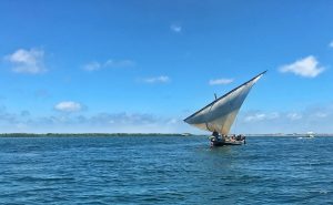 Unveiling Lamu Explore Kenya's Coastal Magic Thrilling Adventures