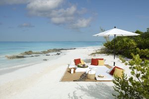 Unveiling Turks Caicos Odyssey into the Secrets of Paradise