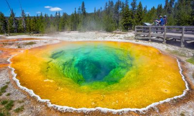 Yellowstone and Grand Teton A Family's Adventure Guide