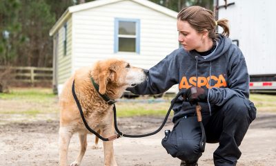 Animal Education and Rescue Bonding