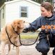 Animal Education and Rescue Bonding