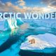 Arctic Wonders Unveiling Finland's