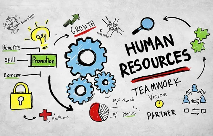 Understanding the Human Resource Jobs in Education Sector Landscape