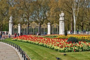 Best London Parks for Picnics