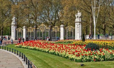 Best London Parks for Picnics