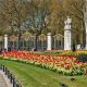 Best London Parks for Picnics