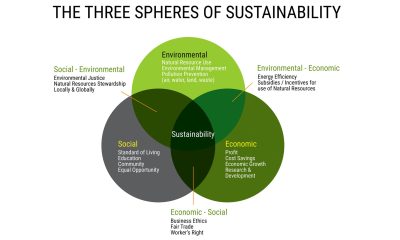 Sustainable-Business-Travel-Next-Level-of-Corporate-Responsibility