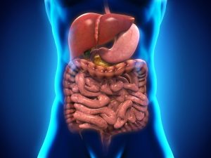 Improve Your Bowel Health