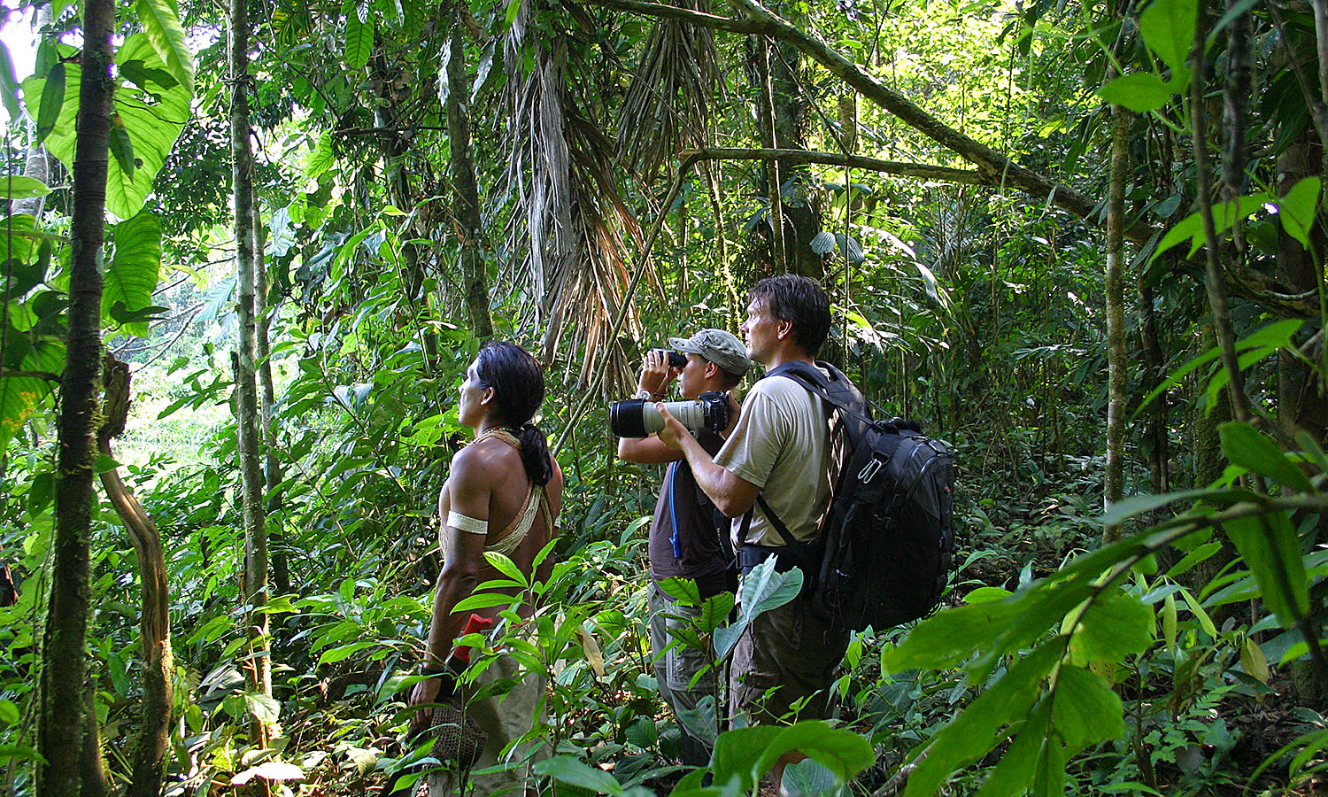 Unexplored Travel Destinations Mysteries of Earth's Last Jungle