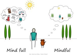 The Role of Educators in Fostering Mindful Learning Environments