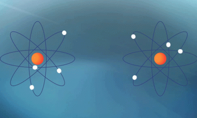 The Heart of Matter: A Journey through Nuclear Physics