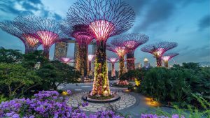 Botanic Garden Singapore