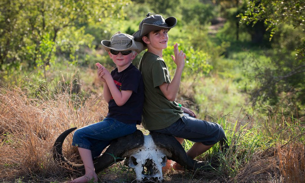 Brazil's Zoo Safari Adventure