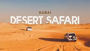 Desert Safari Tours in Dubai