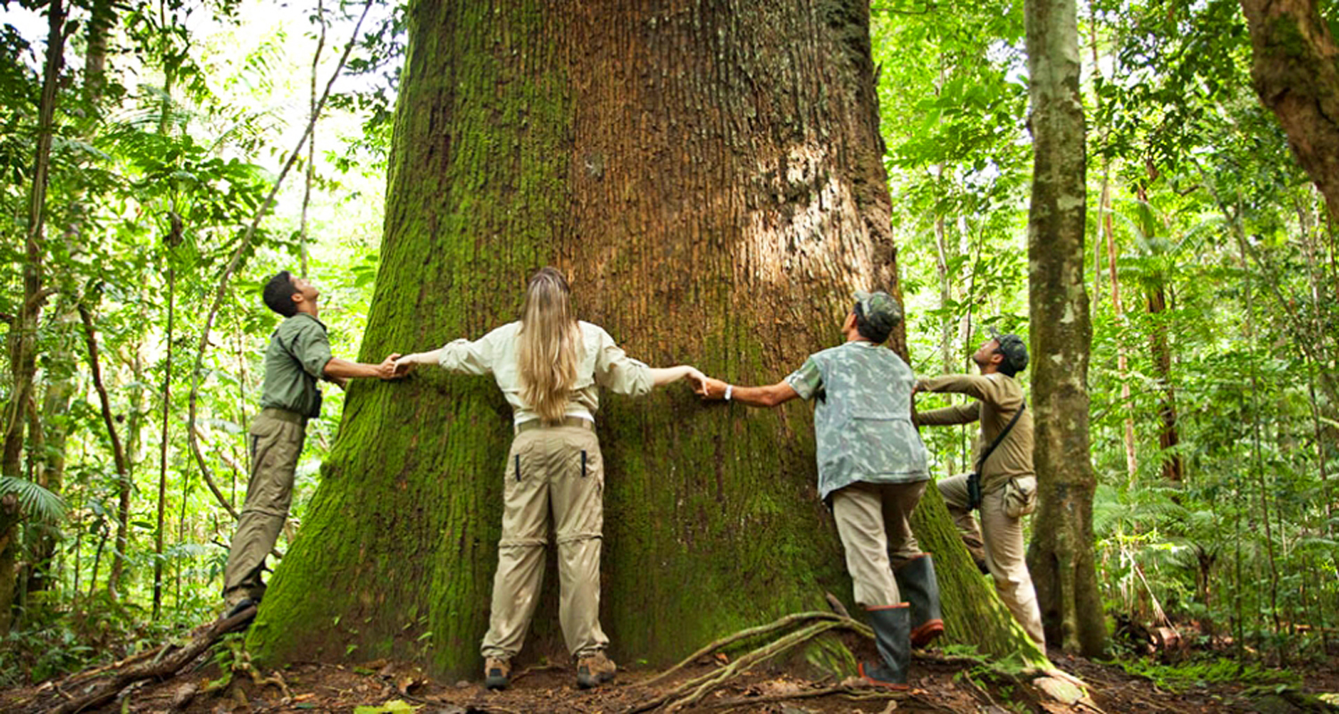 Discover the Mysteries of the Amazoon Forest