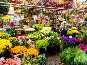 Flower Market