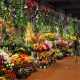 Flower Market IN Hotel Amsterdam