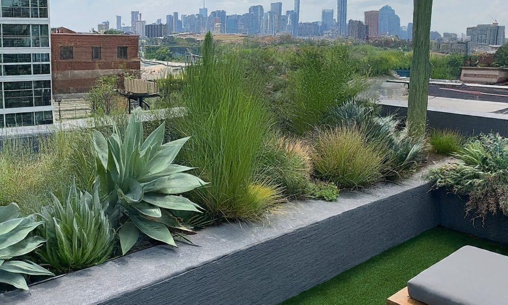 Beyond Grey: Unleash the Hidden Urban Garden