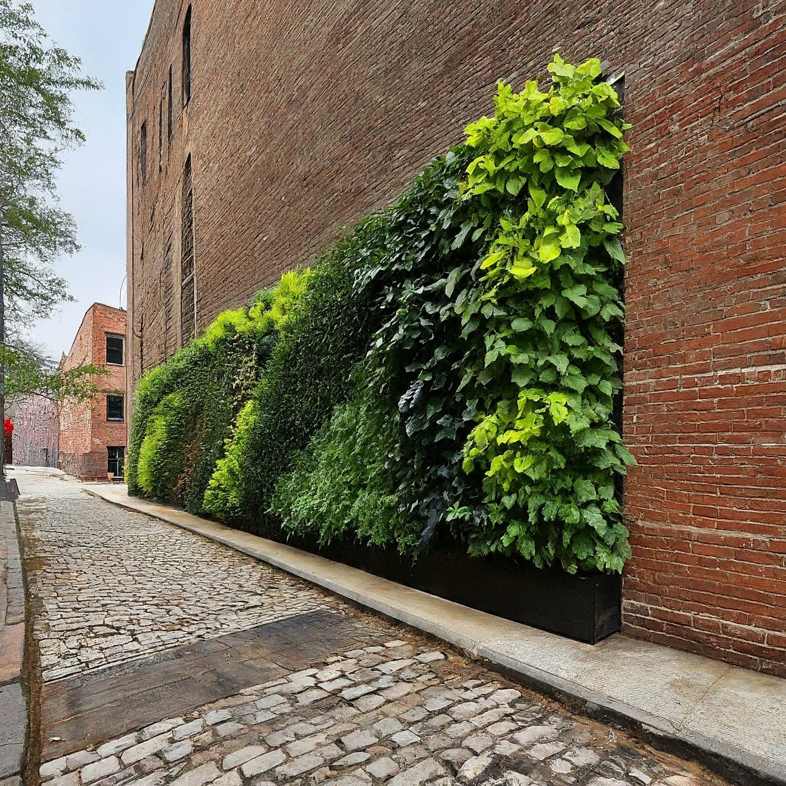 Beyond Grey: Unleash the Hidden Urban Garden