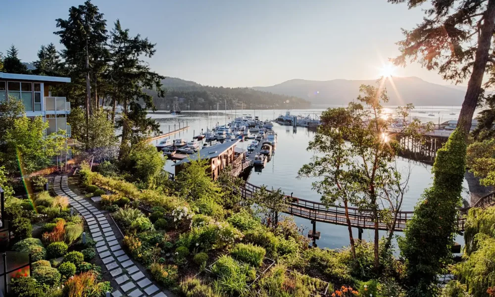 Unveiling Vancouver Island's Wine Scene