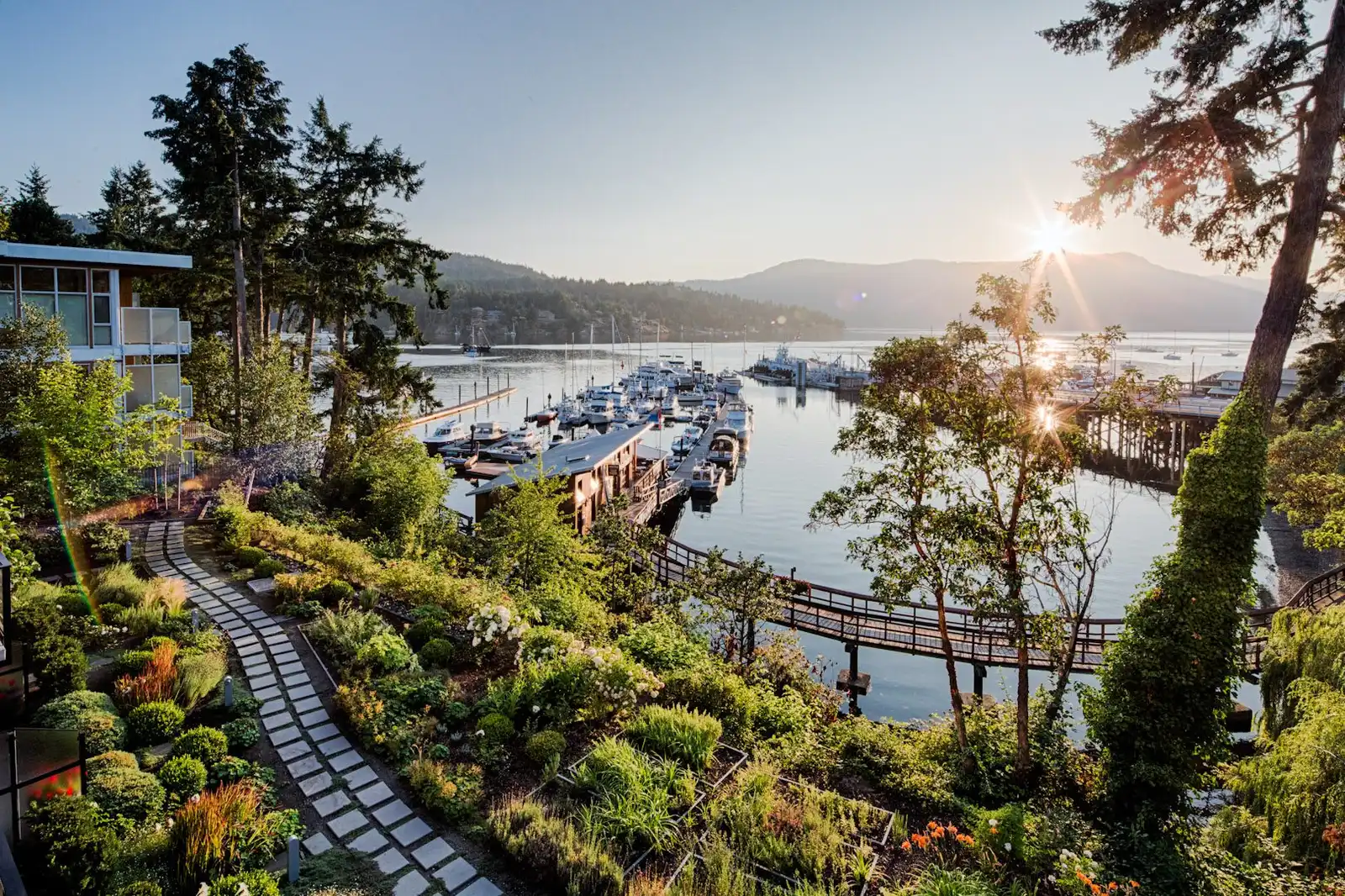 Unveiling Vancouver Island's Wine Scene