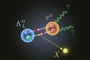 The Building Blocks of Everything Particle Physics