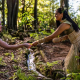 Tradition Alive: Immersing in New Zealand’s Māori Cultural Heritage