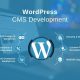 Amplifying Impact: Leveraging SEO in WordPress Web Development